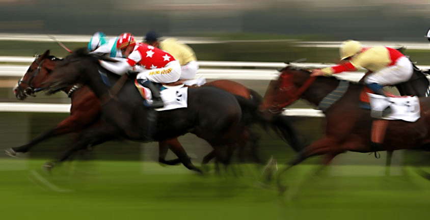 The Best Racehorses In The World